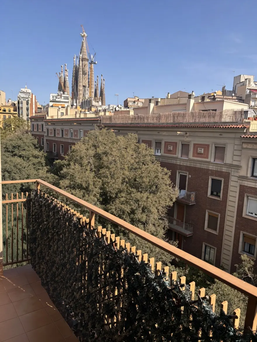 Vistas Terraza