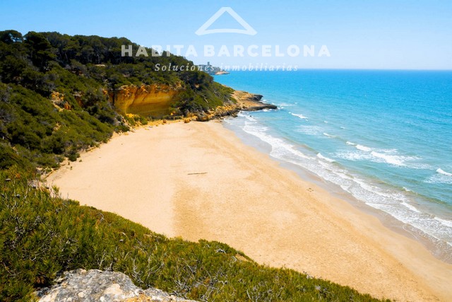 Cala-Fonda-411084799