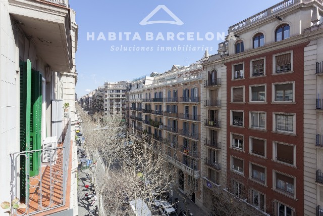 5. 8.1 Córcega