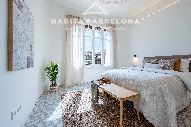 016 24 copia